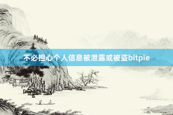 不必担心个人信息被泄露或被盗bitpie