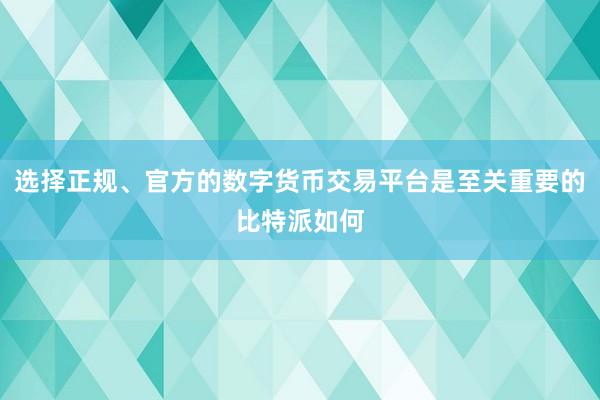 选择正规、官方的数字货币交易平台是至关重要的比特派如何