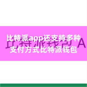 比特派app还支持多种支付方式比特派钱包