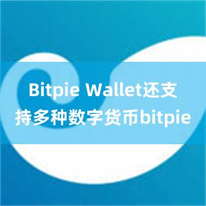 Bitpie Wallet还支持多种数字货币bitpie